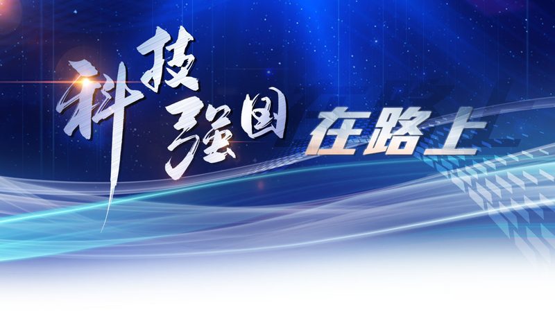 上海企业数字化解决方案：揭秘数字化转型的关键要素